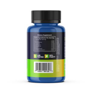 BioAbsorb Ingredients