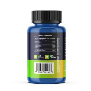 BioAbsorb Ingredients