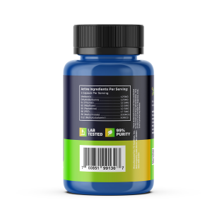 BioAbsorb Ingredients