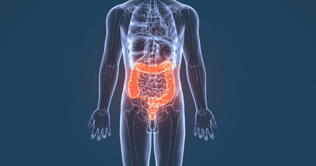 A transparent X-ray style illustration of the human body highlights the large intestine in glowing orange