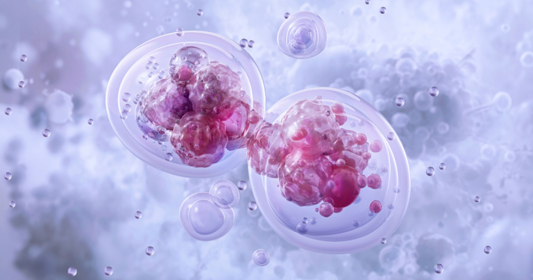 A microscopic 3D illustration shows a pink and purple cell undergoing cellular division.