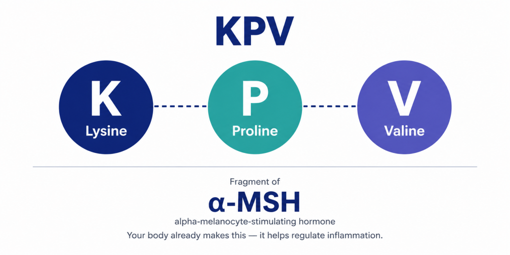 three amino acids: lysine, proline, and valine.
