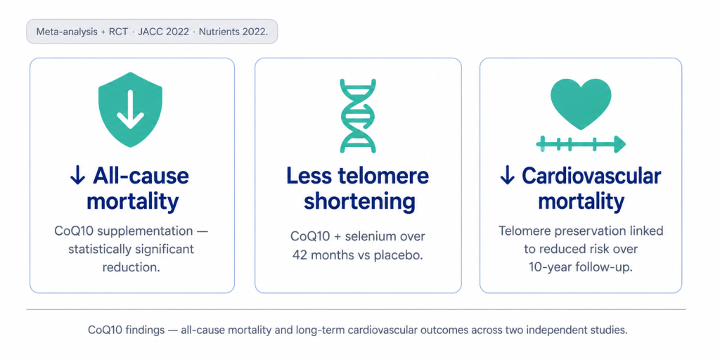 A three-panel visual summarizing the impacts of CoQ10 supplementation on all-cause mortality, telomere shortening, and cardiovascular outcomes.