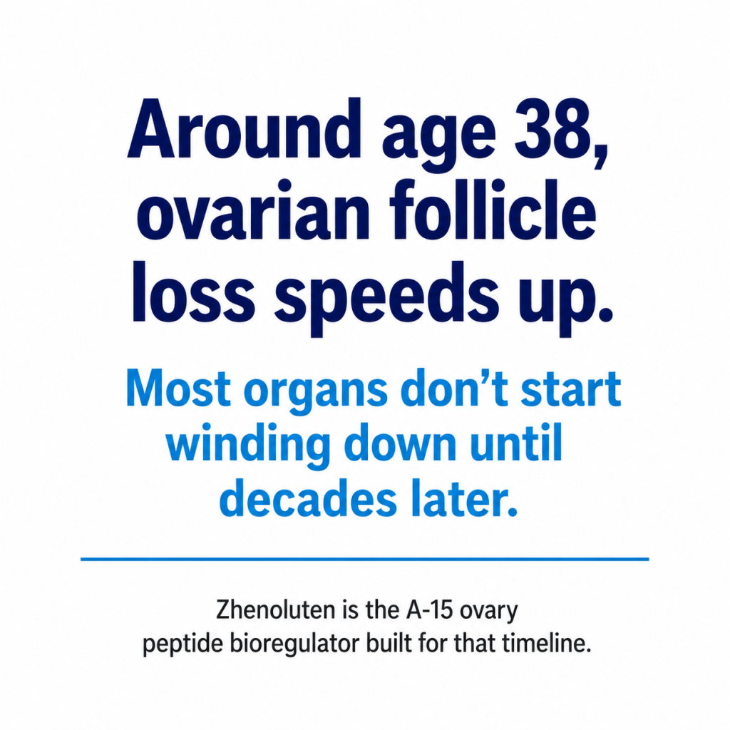A text graphic explaining that ovarian follicle loss accelerates around age 38 and introducing Zhenoluten as an A-15 ovary peptide bioregulator.