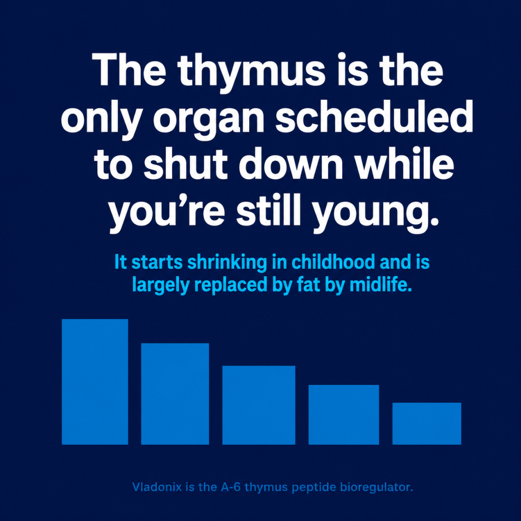 An graphic explaining the aging and shrinking of the thymus gland, accompanied by a descending bar chart.