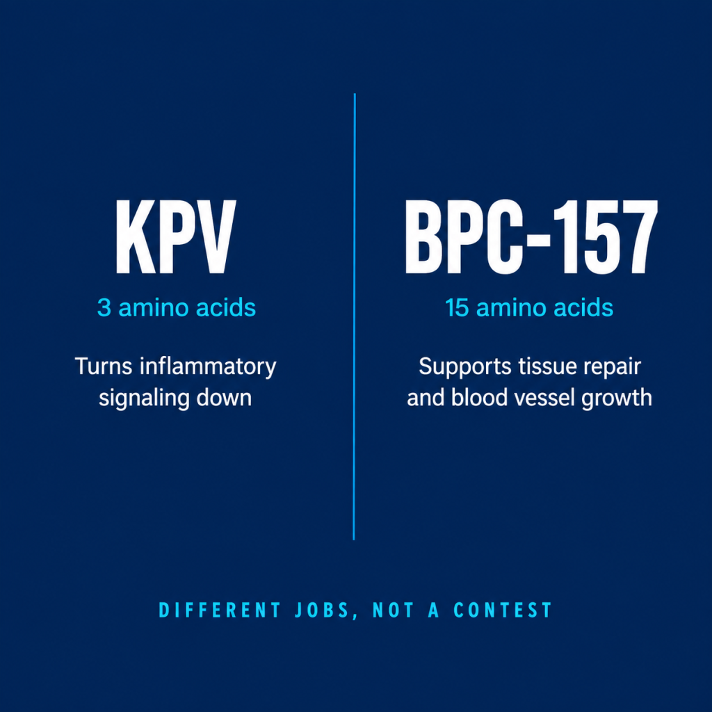 Graphic comparing KPV peptide (anti-inflammatory) with BPC-157 peptide (tissue repair and blood vessel growth).