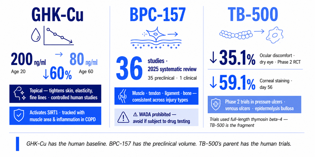GHK-Cu, BPC-157, TB-500 infographic